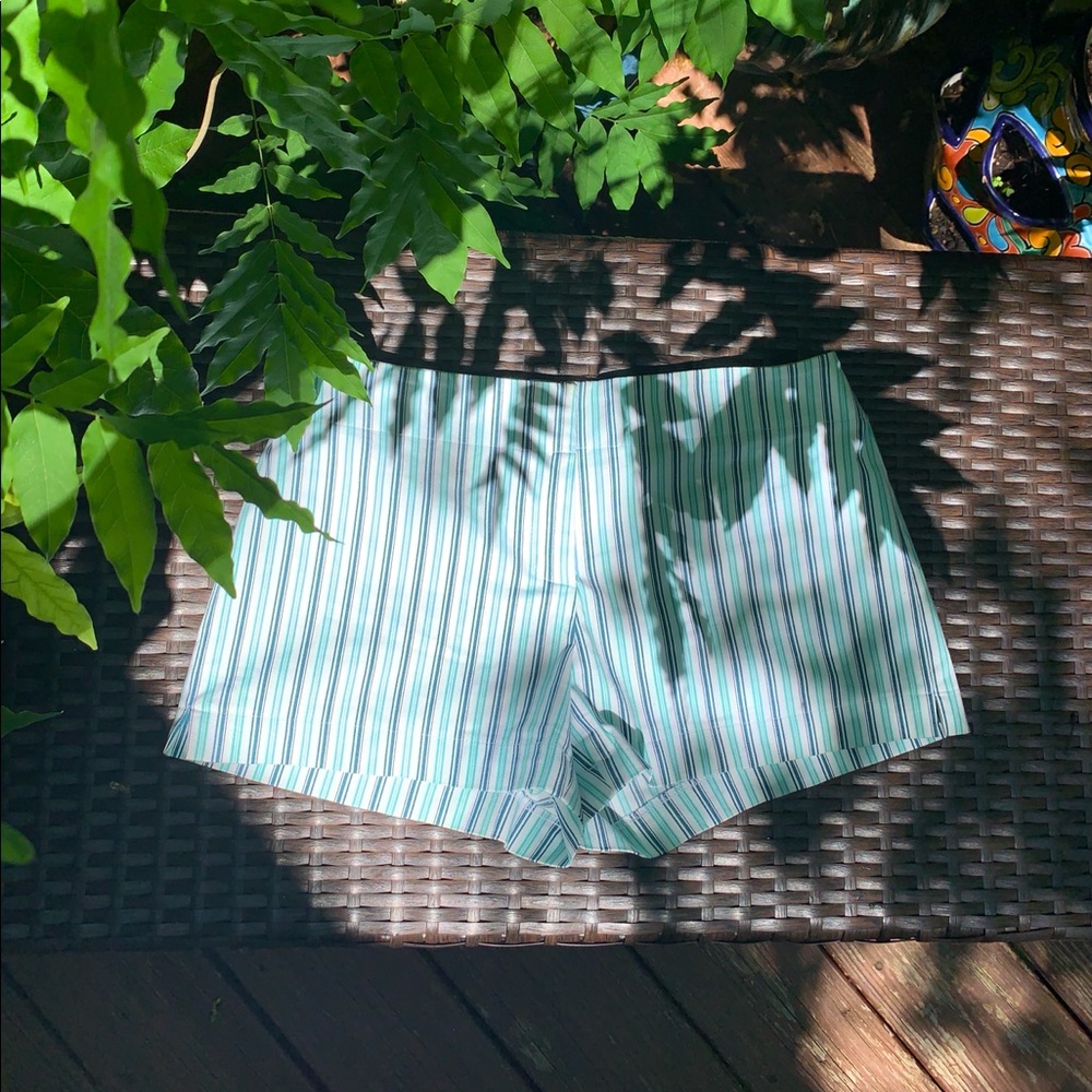 Express Striped Summer Shorts